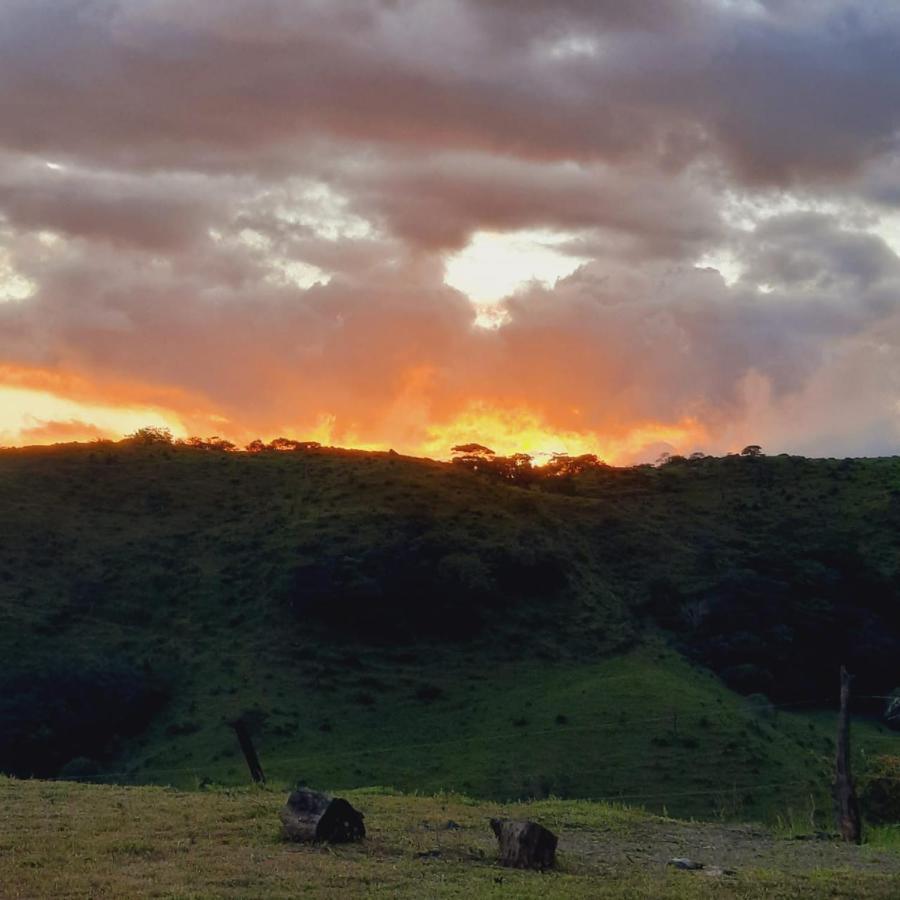 Cattleya Sunset. Lugar Ideal Para Despejarse. Monteverde ภายนอก รูปภาพ